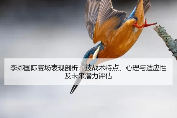 李娜国际赛场表现剖析：技战术特点、心理与适应性及未来潜力评估